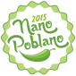 National Blog Posting Month, NanoPoblano, NaBloPoMo, 2015