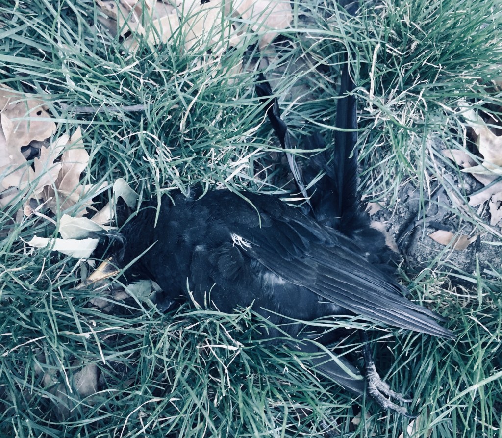 Omnipresent – O – A to Z Challenge&nbsp;2019