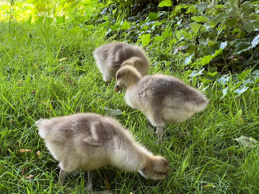 Age is just a number, not an&nbsp;excuse!